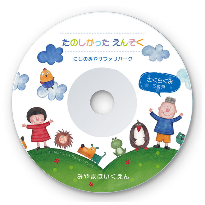 サンワサプライ インクジェットDVD/CDラベル 内径41mm つやなしマット (50シート、50ラベル) LB-CDR001N-50