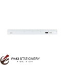 マービー 直線定規目盛30cm 厚さ2mm 65265