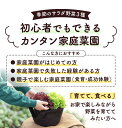 bunkafarm:10000000のサンプル画像2