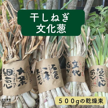 （干し葱苗）文化葱干しねぎ,ねぎ,特産葱,根深葱,鍋,野菜苗,葱苗,冬野菜苗,秋野菜苗