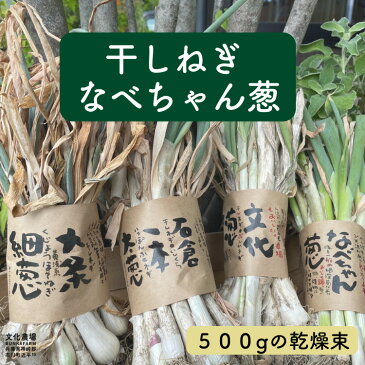 （干し葱苗）なべちゃん葱干しねぎ,ねぎ,なべちゃん葱,根深葱,鍋,野菜苗,葱苗,冬野菜苗,秋野菜苗