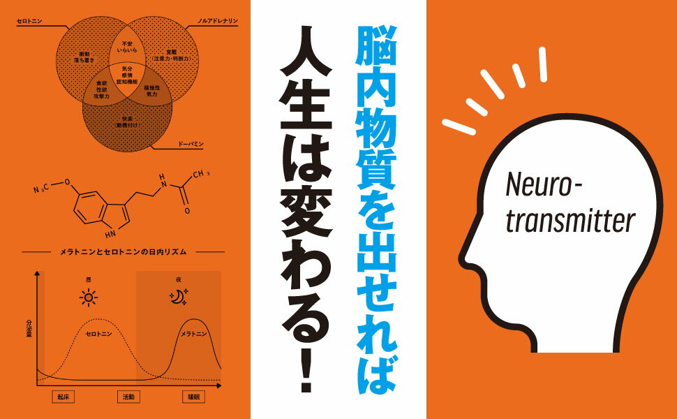 【文庫版】脳を最適化すれば能力は2倍になる｜樺沢紫苑 樺沢先生 ビジネス書 ビジネス本 自己啓発 自己啓発書 自己啓発本 やる気 集中力 学習力 記憶力 脳科学 精神科医 科学的 科学的根拠 精神論 仕事術 仕事 効率 能率 効率化 脳内物質 タスク管理