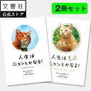 【2冊セット】人生はニャンとかなる!&人生はもっとニャンとかなる!|猫 ねこ ネコ 好き 喜ば れる 癒し グッズ メッセージカード プレゼント ギフト 名言 ...