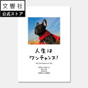 【文響社 公式】人生はワンチャンス!|水野敬也 わん わんちゃんす 犬 イヌ わんこ 好き 喜ば れる 癒し グッズ メッセージカード プレゼント 名言 本