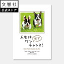 【文響社 公式】人生はワンモアチャンス!|水野敬也 わん わんちゃんす 犬 イヌ わんこ 好き 喜ば れる 癒し グッズ メッセージカード プレゼント 名言 本