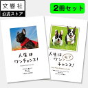 【2冊セット】人生はワンチャンス!&人生はワンモアチャンス! |文響社 水野敬也 わん わんちゃんす 犬 イヌ わんこ 好き 喜ば れる 癒し グッズ メッセー...