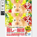 【人気シリーズ新作!】毎日脳活スペシャル もふもふのまちがいさがし1 うさぎ多め|ウサギ 好き 喜ば れる プレゼント グッズ 本 癒し かわいい 間違い 探し...