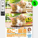 【ヒルナンデスで紹介の第5弾!】毎日脳活スペシャル ねこのまちがいさがし5|猫 ネコ 好き 喜ば れる プレゼント グッズ 本 癒し 間違い 探し 間違い さが...