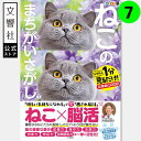 【ヒルナンデスで紹介の第7弾!】毎日脳活スペシャル ねこのまちがいさがし7|ねこ×脳活 猫 ネコ 好き 喜ばれる プレゼント グッズ 本 癒し 間違い 探し 間...