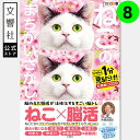 【ヒルナンデスで紹介の第8弾!】毎日脳活スペシャル ねこのまちがいさがし8 ヘソ天多め|ねこ×脳活 猫 ネコ 好き 喜ばれる プレゼント グッズ 本、癒し、間違...