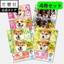 【4冊セット】毎日脳活スペシャル いぬのまちがいさがし 柴犬多めの巻/豆柴だらけの巻/コーギーいっぱいの巻/チワワ大集合の巻|犬 イヌ 好き 癒し 間違い 探し...