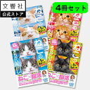 【4冊セット】毎日脳活スペシャル 超にゃん問! ねこのまちがいさがし まんまるお目め多めの巻/箱入りねこ多めの巻/お座りねこ多めの巻/のびのびねこ多めの巻|猫 ...