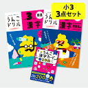 【うんこドリル 小3 大人気 3点セット / 国語2冊+カード】漢字(かん字)・漢字問題集編+漢字カード|小学3年生 小三 三年生 漢字ドリル 国語ドリル 勉強...