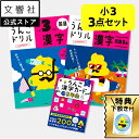 【うんこドリル 小3 大人気 3点セット / 国語2冊+カード】漢字(かん字)・漢字問題集編+漢字カード|小学3年生 小三 三年生 漢字ドリル 国語ドリル 勉強...