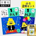 【うんこドリル 小1 国語 漢字 大人気2冊セット】漢字・漢字問題集|小学1年生 一年生 小一 かん字 漢字 練習 勉強 学習 漢字ドリル ドリル 書き順 書き...