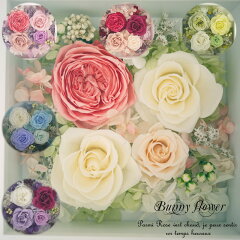 https://thumbnail.image.rakuten.co.jp/@0_mall/bunny-flower/cabinet/04378560/10000129.jpg