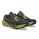 asics アシックス ランニングシューズGEL-Trabuco 13 GTX 【メンズ】2025FWモデル 1011B978