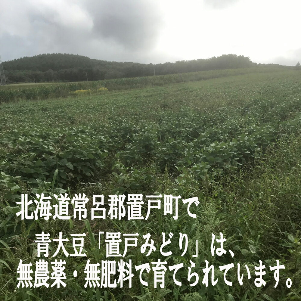 【くま納豆】あゝ登別ブルース納豆 80g | ごはんのお供 おかず 無農薬 無肥料 北海道産青大豆使用 冷凍保存可能 ねばねば 納豆 ご飯のお供 朝ごはん 朝食 美味しい納豆 北海道 お取り寄せ くま納豆