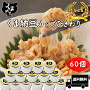 【 くま納豆 カップ ひきわり 60個】北海道産 ひきわり納豆 納豆 国産 なっとう ナットウ 納豆ギフト 高級納豆 ギフト 高級 国産納豆 北海道 ご飯のお供 ご飯のおとも お取り寄せグルメ お取り寄せ | まとめ買い プレゼント 熊納豆 朝ごはん くま納豆パック ごはんのおとも