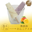 \9日はお買得!20%OFFクーポン+ポイント10倍!/犬用アイスクリーム2本セット BUN'S KITCHEN シニア犬 パピー 無添加 犬用 WANKO ICE ブルーベリー マンゴー