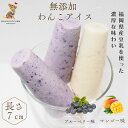 \9日はお買得!20%OFFクーポン+ポイント10倍!/犬用アイスクリーム3本セット BUN'S KITCHEN シニア犬 パピー 無添加 犬用 WANKO ICE ブルーベリー