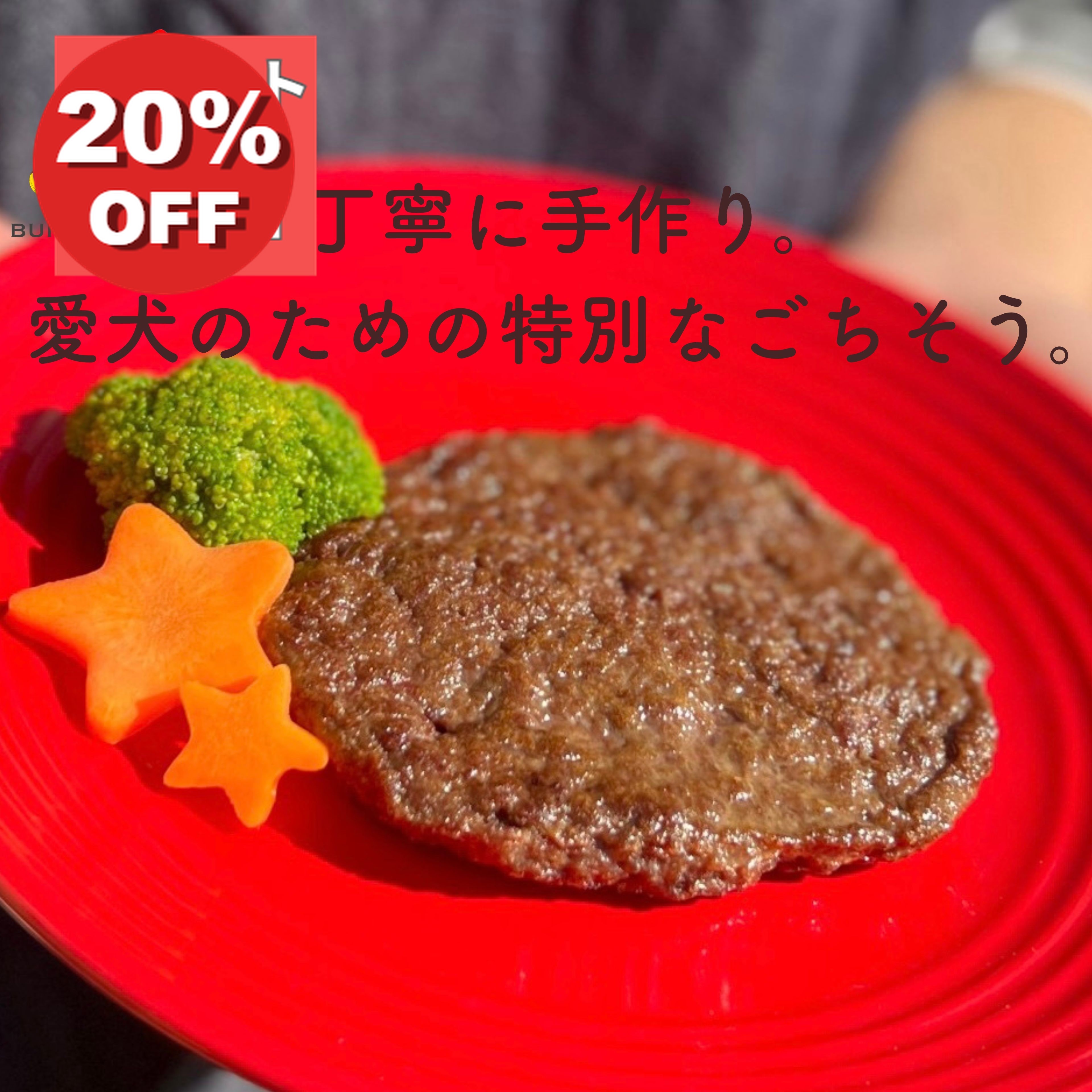 ＼本日20時！先行セール開始！P10倍＋20％OFF／【月間優良ショップ受賞】京築産鹿肉 100% ハンバーグ お得な2個セット50g BUN’S　KITCHEN　 国産 保存料 着色料 無添加 獣医師公認 管理栄養士 ヒューマングレード 総合栄養食 冷凍品