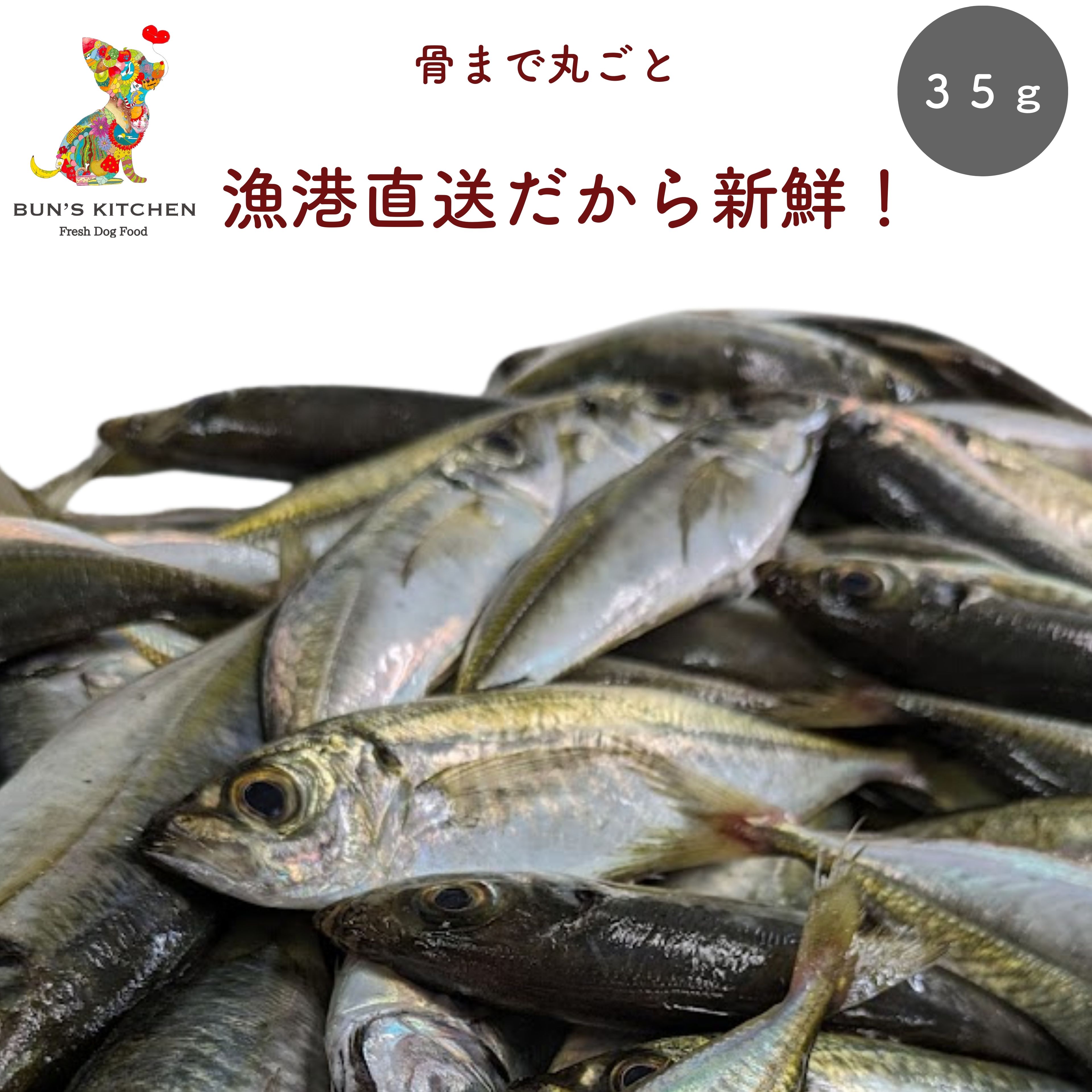 ��4����Ķ�䤪������10��OFF+P����15�ܡ��ڷ��ͥ�ɥ���å׼��ޡ�Ĺ�긩���������ƥ��å� ���㡼���� 35g BUN��S KITCHEN �� ��¸�� �忧�� ̵ź�� �ð�ո�ǧ �������ܻ� �ҥ塼�ޥ󥰥졼�� �� ���ꤴ�Ϥ� ���˥��� Ϸ�� �ѥԡ� �Ҹ� ̵ź�ø���