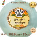 \9日はお買得!20%OFFクーポン+ポイント10倍!/犬用バースデーケーキ3号サイズ 直径9cm 4号サイズ直径12cm 5号サイズ直径15 cm ごはんタイプ BUN'S KITCHEN 送料無料 犬用ケーキ シニア犬 パピー 誕生日ケーキ