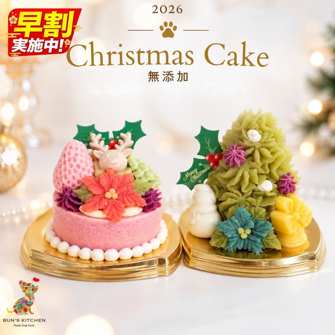 ＼本日超お買い得！10％OFF+P2倍確定／【月間優良ショップ受賞】早割 BUNS'KITCHEN 犬用クリスマスケーキ クリスマスキャロル ごはんタイプ 直径8cm 犬用 ケーキ 誕生日 バースデー