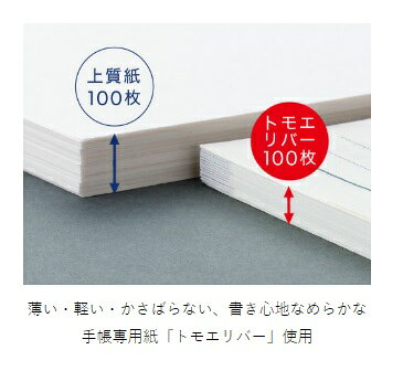 レイメイ藤井　ダ・ヴィンチ　リフィル　mini5サイズ　方眼罫ノート（5mm方眼）　D...