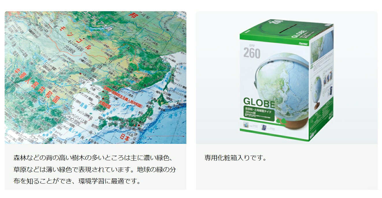 レイメイ藤井　土地被覆タイプ地球儀　球径30cm　全回転　OYV260