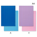 レイメイ藤井 STUDY MATE 魔法のザラザラ下じき 先生おすすめ A4 0.3mmドット 小学生低学年-中学生向け U752