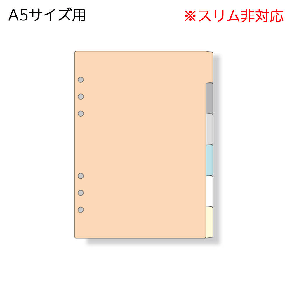 【メ可】レイメイ藤井　ダ・ヴィンチ　リフィル　A5サイズ　カラーインデックス（6区分）　DAR506のサムネイル