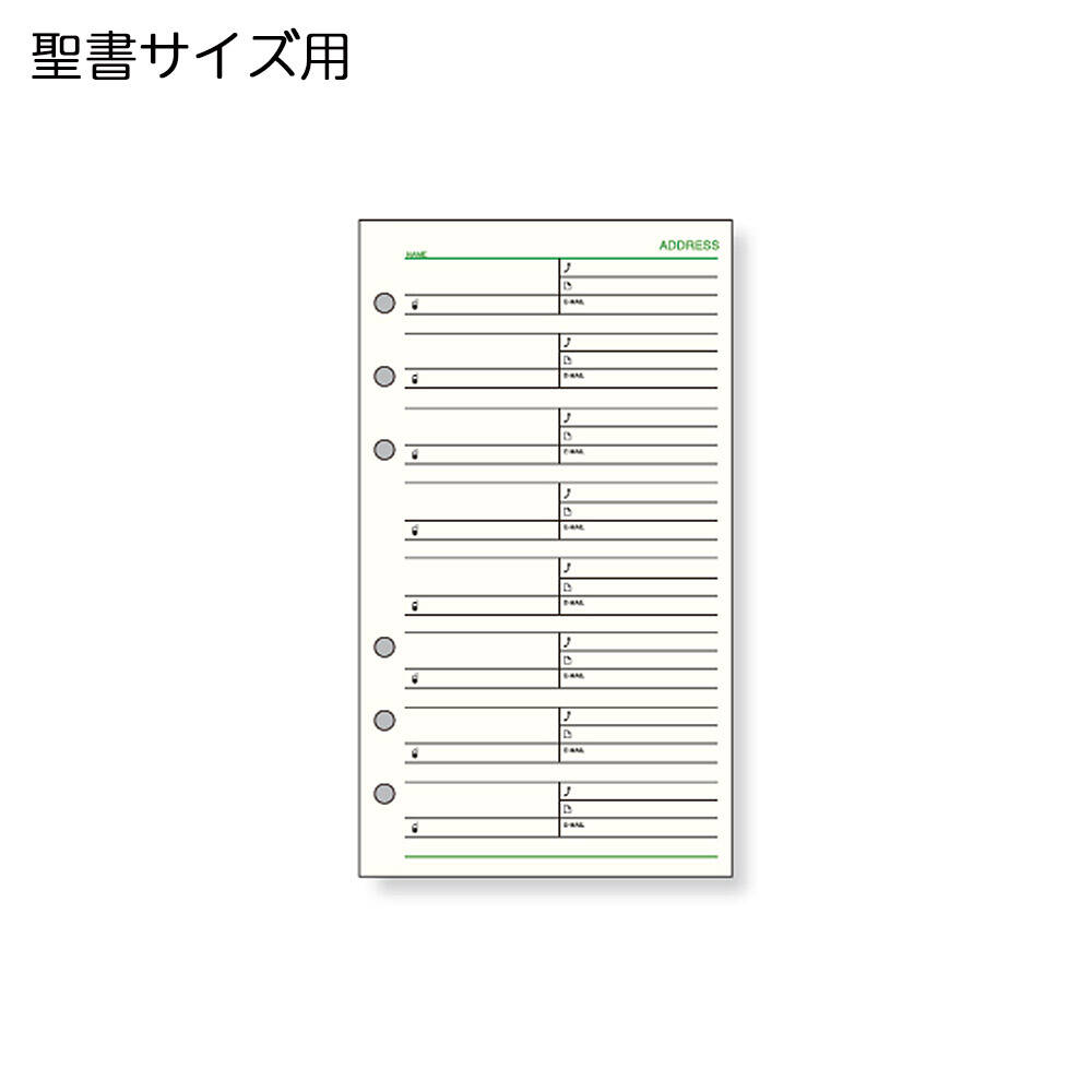 【メ可】レイメイ藤井　ダ・ヴィンチ　リフィル　聖書サイズ　アドレス（1ページ8名）　DR306