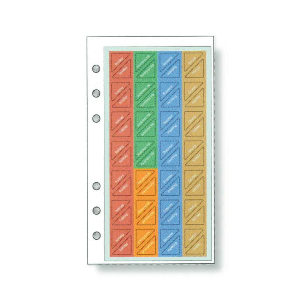 レイメイ藤井 ダ・ヴィンチ リフィル 聖書サイズ はってはがせるスケジュールシール DR253