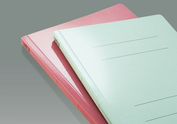 コクヨ　フラットファイルS＜ストロングタイプ・ワイド＞　A4縦　250枚　(10冊セット)　フ-VSW10 2