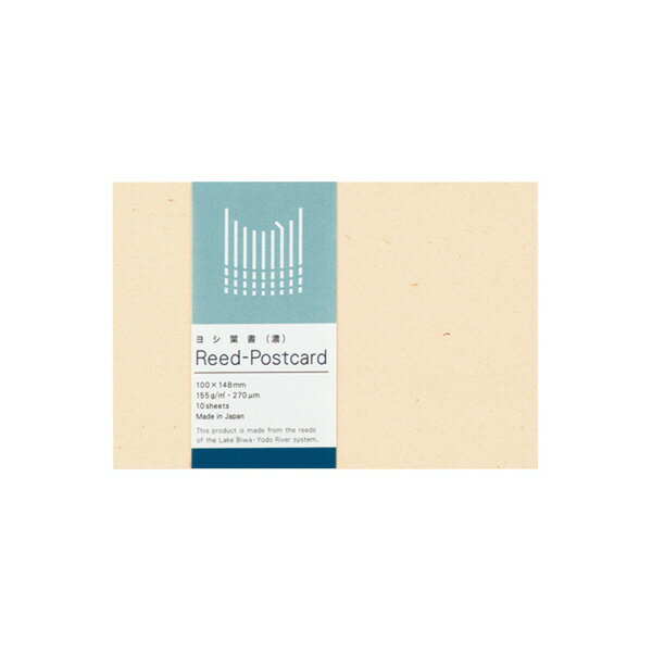 衡սReEDEN䡡KPSP-R501