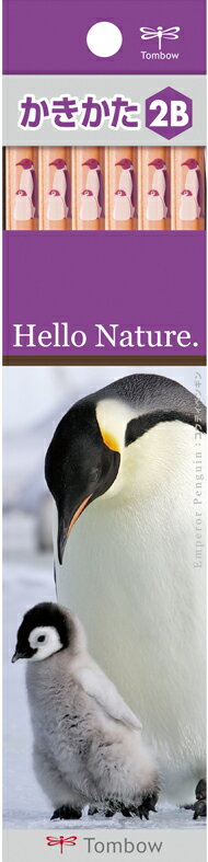 ȥܱɮɮϥͥ㡼EPƥڥ󥮥2BKB-KHNEP2B