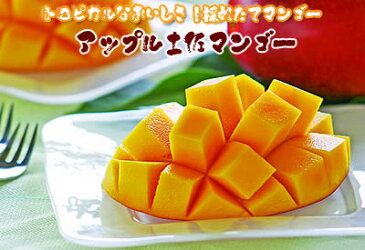 【母の日】高知県産アップル土佐マンゴーわけありご家庭用2個入【父の日】【お中元】【暑中 残暑見舞い】【帰省土産】【楽ギフ_のし宛書】【楽ギフ_メッセ入力】