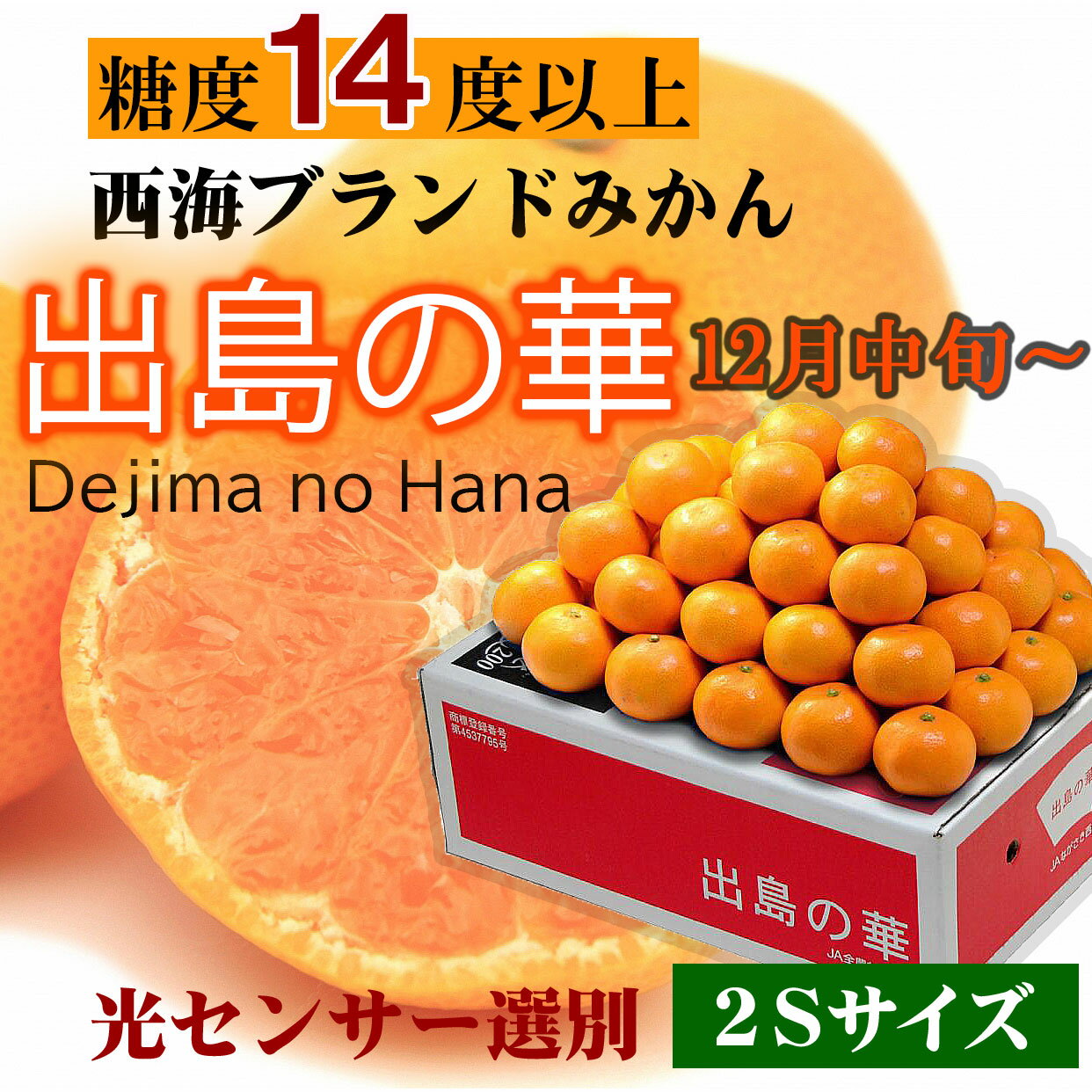 サンプル画像2