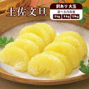 |先行予約| 土佐文旦 大玉 訳あり 3kg、5kg、10kg 3L~2Lサイズ 【季節限定】【土佐文旦】【ぶんたん】【ブンタン】【高知文旦】【春柑橘】【訳あり】【B級品】【家庭用】【柑橘類】【送料無料】【分担】