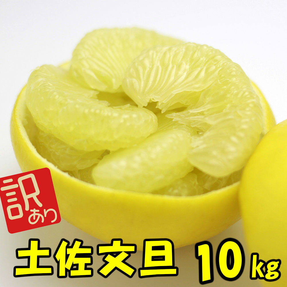 【初回限定500円割引中】訳あり土佐文旦約10kg 3L〜Lサイズいずれかおまかせ【日焼け果傷あり】【ご家庭用】【セール】土佐市産　わけあり　キズモノ　文旦　ぶんたん　ブンタン　2月上旬～3月中旬発送【送料無料】