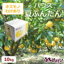 ハウス夏ぶんたん約10kg箱　ご家庭用大中小玉込み約20〜25個入