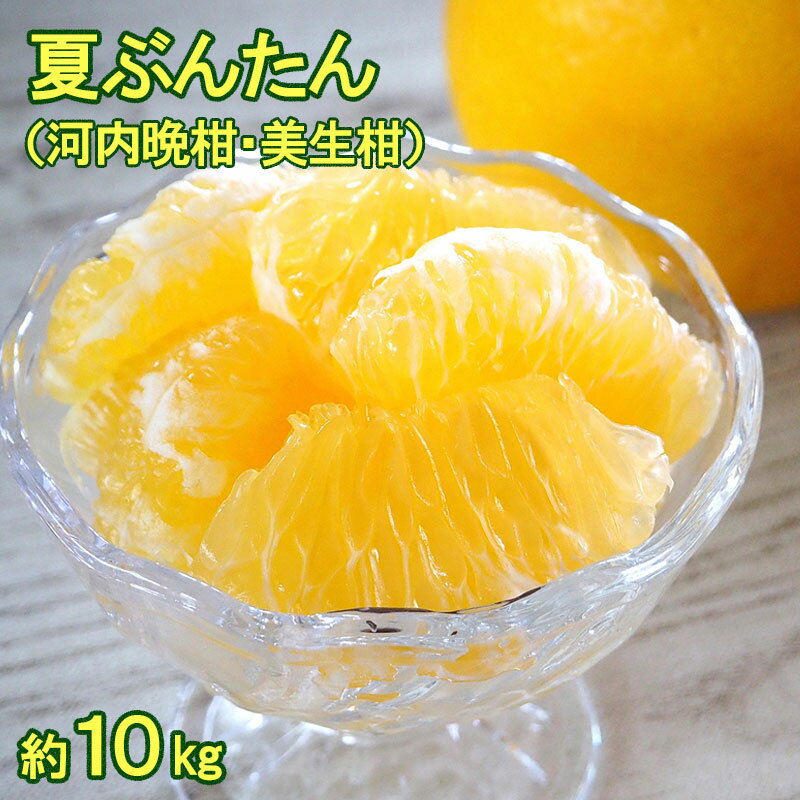 楽天市場】文旦 20kg 送料無料の通販