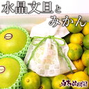 水晶文旦と温州みかん 詰め合わせセット【秋の味覚】【すいしょうぶんたん】【ギフト 贈答】【高級フルーツ】【高知県 特産品】【秋の柑橘 みかん】
