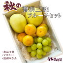 【送料込】【限定品】秋の贅沢フルーツ詰め合わせセット