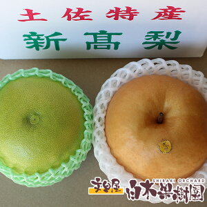 【同梱可能】【高知産】特大新高梨約1kg1玉と特大水晶文旦1玉　秋の味覚セット【秋の果物】【秋のフルーツ詰め合わせ】【楽ギフ_包装】【楽ギフ_のし宛書】【楽ギフ_メッセ入力】【秋の柑橘】