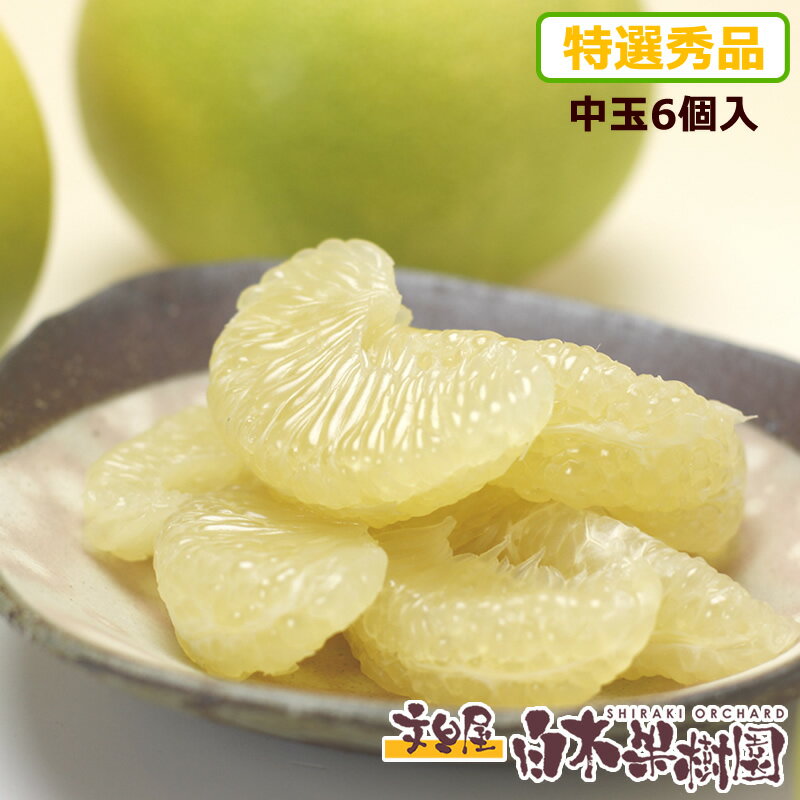 【早期ご予約割引5％OFF】特選秀品 水晶文旦 中玉6個入り【秋の味覚】【すいしょうぶんたん】【化粧箱入り】【ギフト 贈答】【高級フルーツ】【高知県 特産品】【秋の柑橘 みかん】のサムネイル