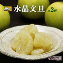 \ 早割5%OFF / 特選秀品 水晶文旦 特大玉2個入り【秋の味覚】【すいしょうぶんたん】【ギフト 贈答】【高級フルーツ】【高知県 特産品】【秋の柑橘 みかん】
