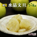 \ 早割5%OFF / 特選秀品 水晶文旦 大玉・特大7~8個入り【秋の味覚】【すいしょうぶんたん】【化粧箱入り】【ギフト 贈答】【高級フルーツ】【高知県 特産品】【秋の柑橘 みかん】